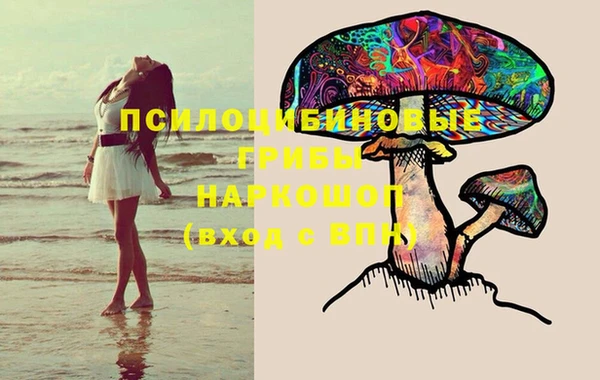 хмурый Алексеевка