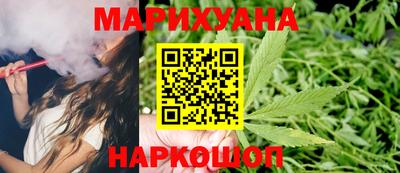мдпв Бийск