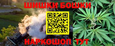 мдпв Бийск