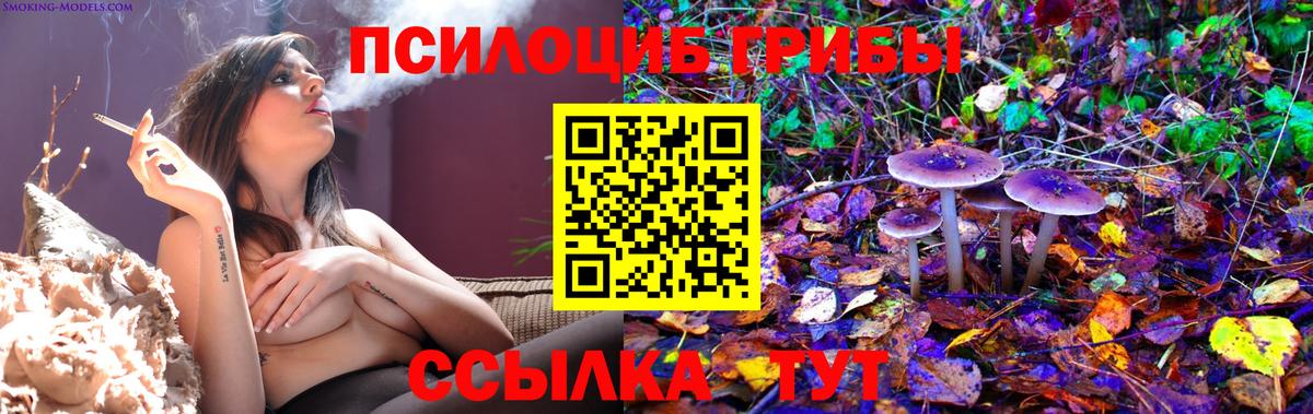 Галлюциногенные грибы GOLDEN TEACHER  Вход с VPN  Йошкар-Ола 