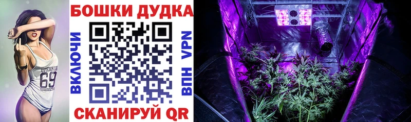 дарнет шоп  мега   дарк нет телеграм  Йошкар-Ола  Бошки Шишки Bruce Banner 